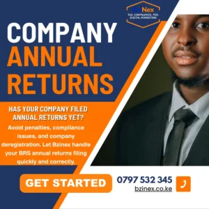 Annual Company Returns Filing